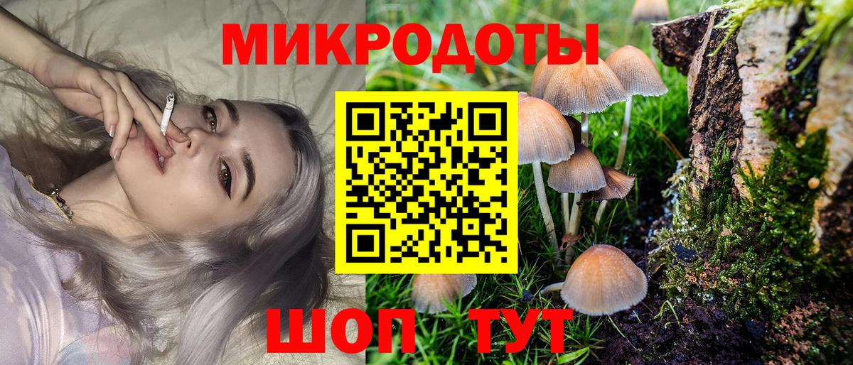 Псилоцибиновые грибы ЛСД Туапсе