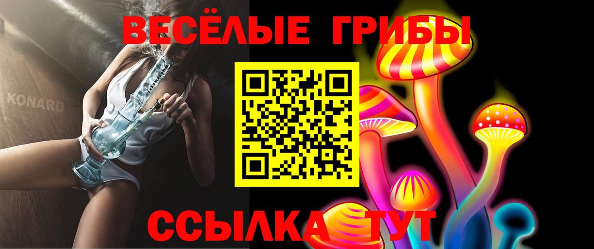 Галлюциногенные грибы Magic Shrooms  Псилоцибиновые грибы Magic Shrooms  продажа наркотиков  Вход с VPN  Туапсе 